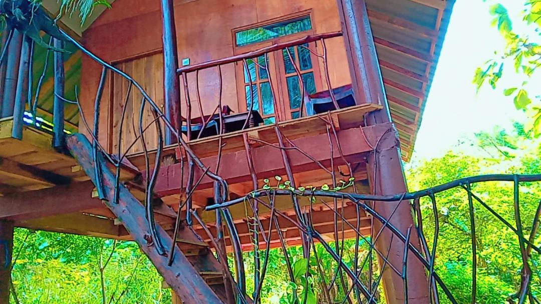 Sigiri Aliya Tree House 호텔 시기리야 외부 사진