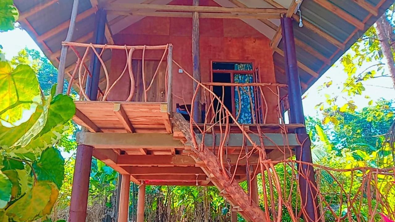 Sigiri Aliya Tree House 호텔 시기리야 외부 사진