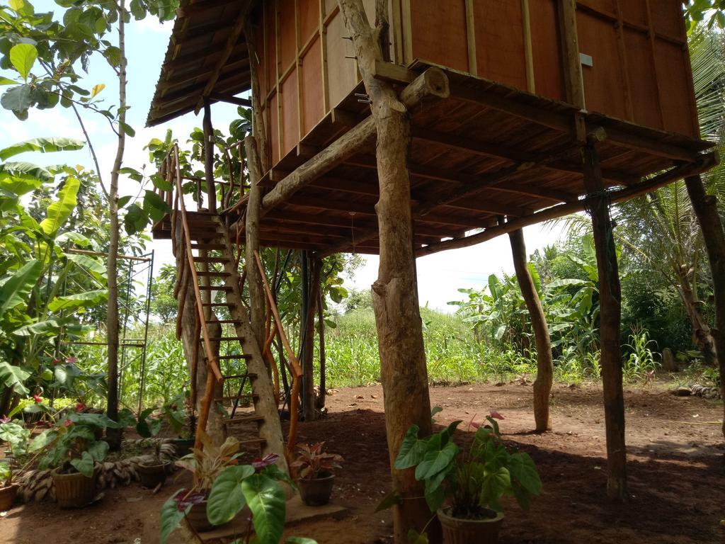 Sigiri Aliya Tree House 호텔 시기리야 외부 사진