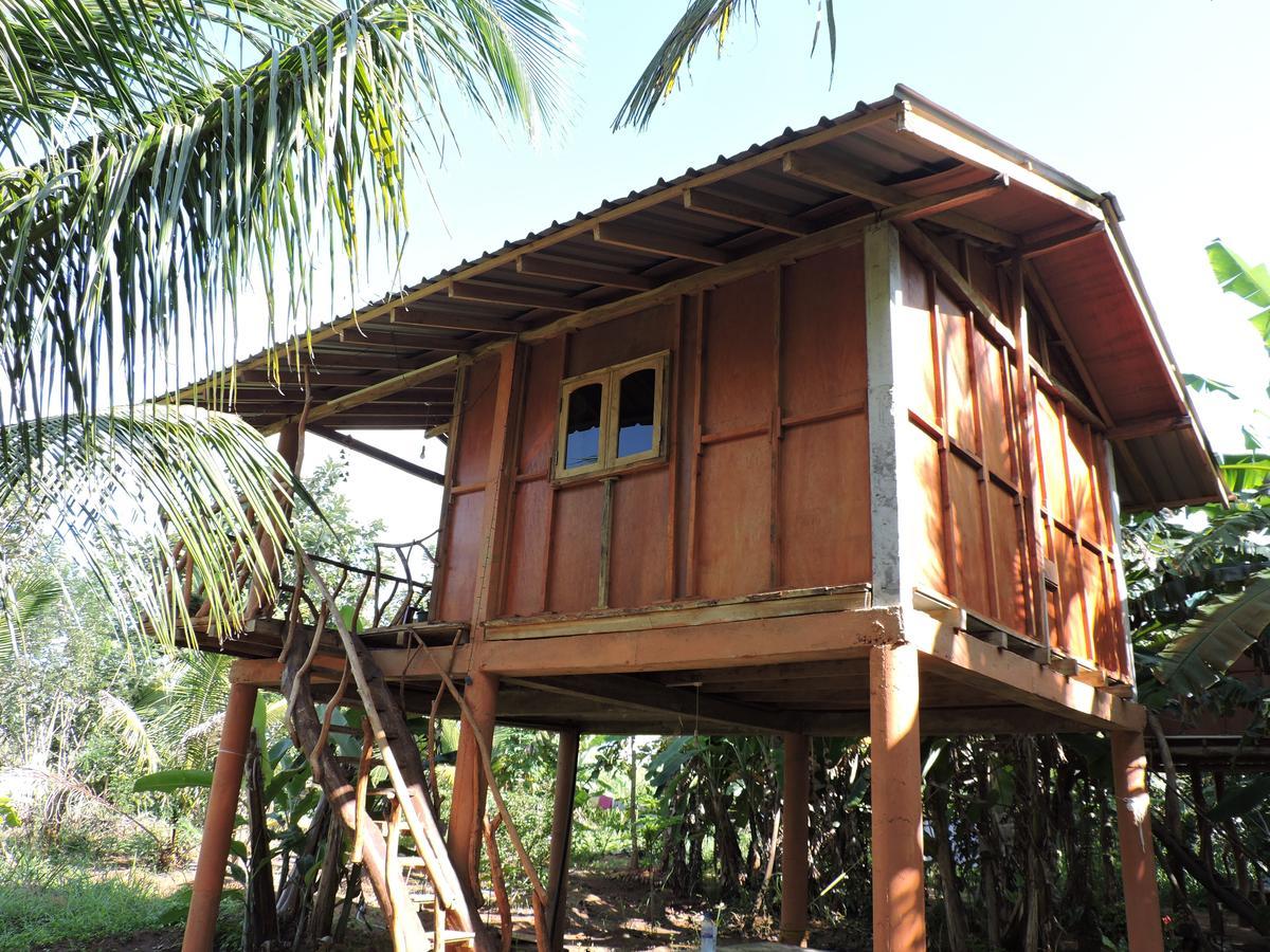 Sigiri Aliya Tree House 호텔 시기리야 외부 사진