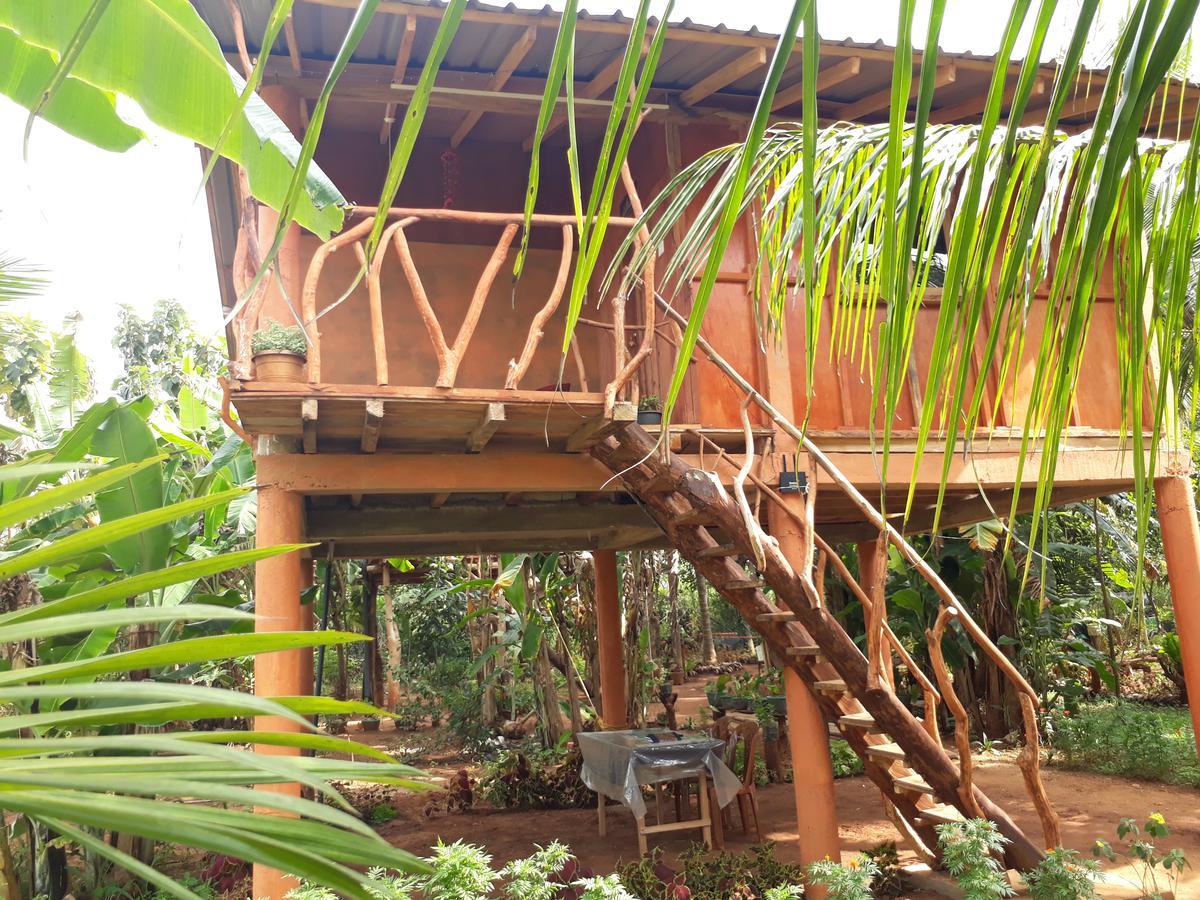 Sigiri Aliya Tree House 호텔 시기리야 외부 사진