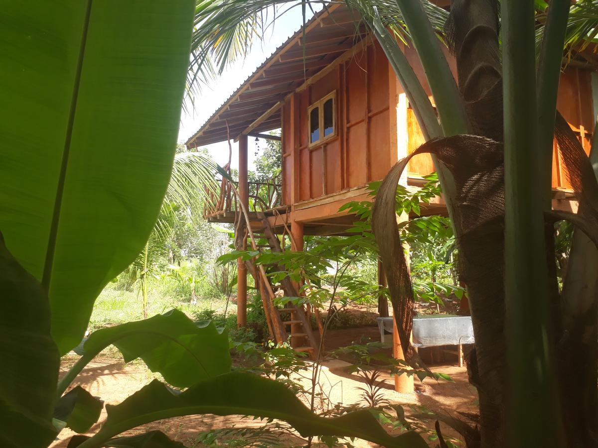 Sigiri Aliya Tree House 호텔 시기리야 외부 사진