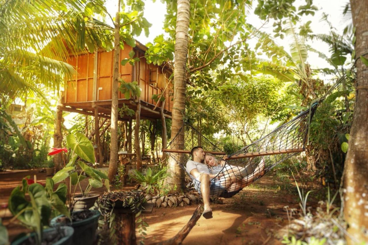 Sigiri Aliya Tree House 호텔 시기리야 외부 사진