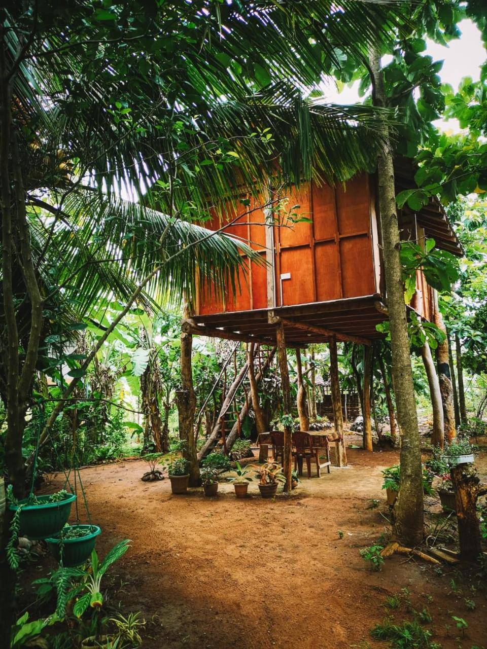 Sigiri Aliya Tree House 호텔 시기리야 외부 사진